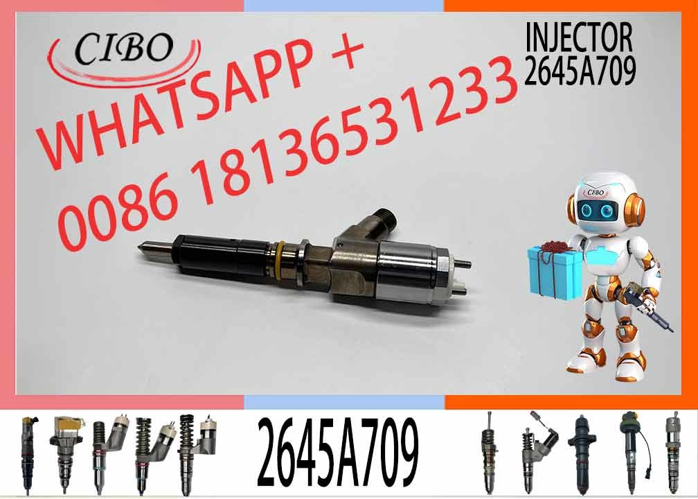 Diesel Engine Fuel Injector 282-0490 2645A709 10R-7673 10R-7676 2645A734 Engine Diesel C6.6 C6.4 C4.2 Injector