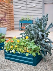 Wholesale Farmhouse 80x30cm Raised Metal Garden Bed For Flower from china suppliers