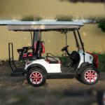 OEM 30mph Low Speed Vehicle Golf Cart 4 Passenger LSV CE Certificated