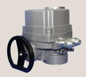 Wholesale Lq0-05 Lq1-06 Lq1-10 Lq2-20 Lq3-35 Lq3-50 Lq4-80 Lq4-110 Lq40-2 Butterfly Valve Electric Actuator from china suppliers