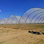 Greentime agriculture Greenhouses Suppliers Plastic Film Rain Shelter Greenhouse