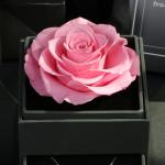 Amazon Hot Selling Real Preserved Roses Jewelry Gift Boxes eternal rose jewel