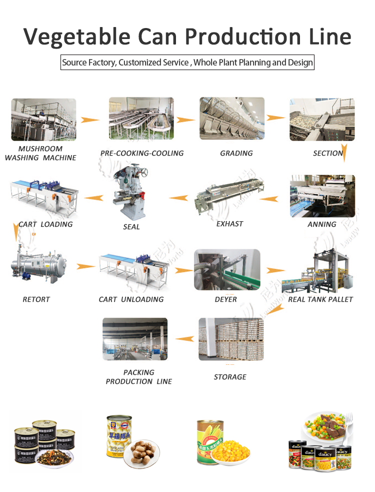Automatic Bubble Fruit And Vegetable Apricot Washing Cleaning Equipment Line 800kg
