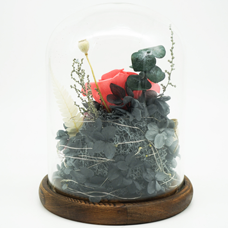 Wedding Decoration Transparent Glass Dome Flower With No Humidity / No Direct Sunlight