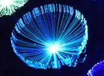 Solar optical fiber jellyfish Lights Outdoor Lawn Park Decoration Lamp LED