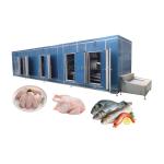 Joyshine Cold Room Freezer for Iqf Individual Quick Freezing of Fish and Seafood