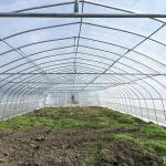Agricultural Singlespan Tunnel Plastic Film Tropical Greenhouse