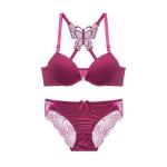 Back Front Closure Custom Underwear Set Women Cross Butterfly Bras Panties Set