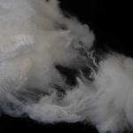 Low Crimp Silicone Free Short Staple Fiber 2.5D For Hot Air Non Woven Fabric