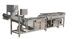 Wholesale Automatic Ginger Washing Machine , Stainless Steel Vegetable Washing Equipment from china suppliers