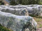 UV Protection Agriculture Insect Net Orchard Insect Mesh High Density Greenhouse