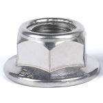 Stainless steel SS304 SS316 Bright DIN 6923 Hexagon Flange Nuts