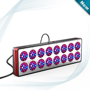 Wholesale New York,Los Angeles,Chicago LED Grow Lights manufacturer from china suppliers