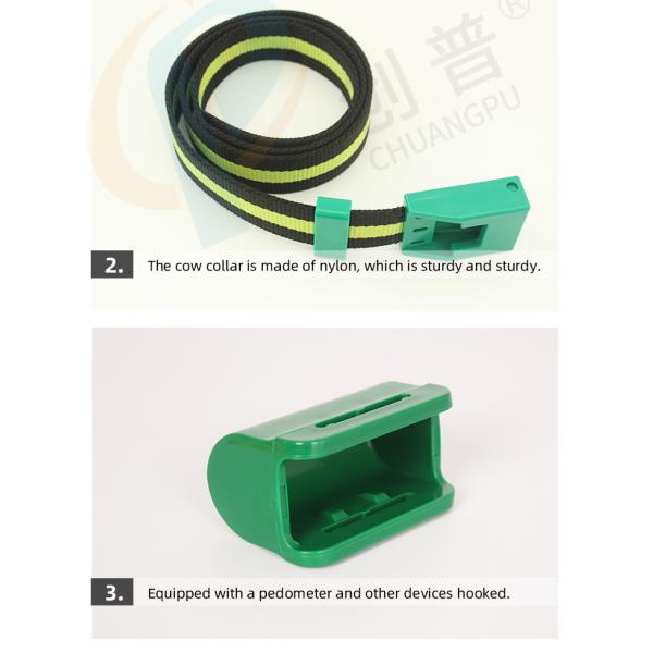 Heavy Duty Waterproof Nylon Cow Collar With Buckle Closure And Gravity Buckle