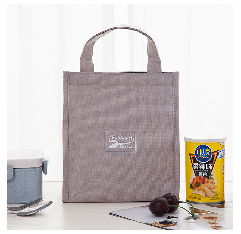 SGS L20*D15cm Insulated Lunch Cooler Bags For Travel
