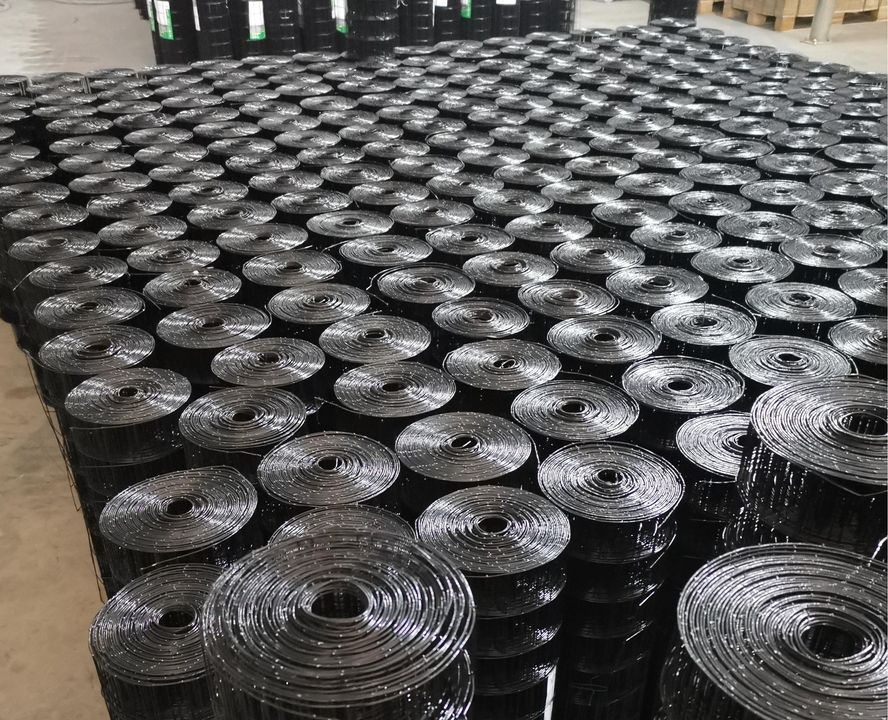 12 Gauge Vinyl Coated Welded Wire Fencing with Galvanized Steel Wire 3.7-50m Length