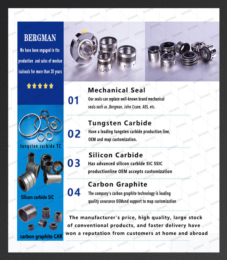 BERGMAN BIA-10 12 14 15 16 18 19 20 22 25 28 30 32 35-90mm Pump Mechanical Seal