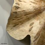 Professional Artisans Hand Carved Wood Sculptures Nordic Style