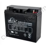 SLA AGM Valve Regulated Lead Acid Vrla Batteries Maintenance Free 12V 20AH LEOCH
