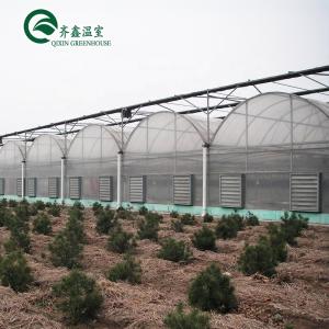 Wholesale Large Steel Greenhouse Structure Shed Design With 150/200micro PE Film Covering from china suppliers
