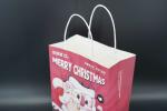 OEM / ODM Eco Friendly Paper Kraft Bags Printing For Christmas Party
