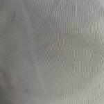 100%Polyester 63D*63D 55gsm 210T Taffeta