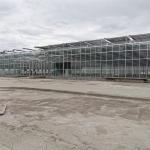 Complete Vegetables Growing Multi-span Greenhouse Fiberglass Glass Agricultural