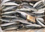8pcs Frozen Fishing Bait