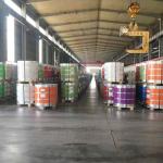 RAL Color PPGI Hot Dipped Galvanized Steel Coil 1mm Thick EN Standard