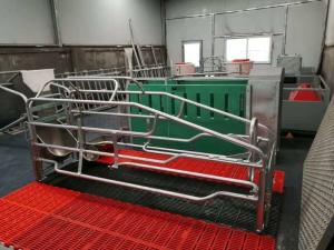 Wholesale Adjustable Pig Farrowing Crate from china suppliers