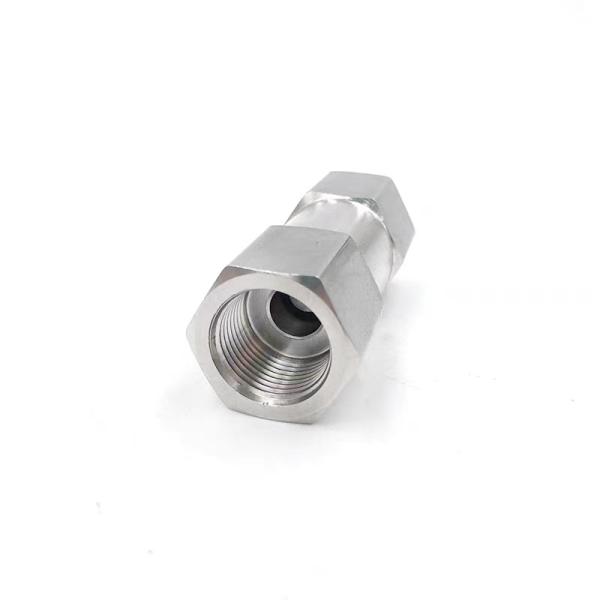 High Pressure Female Thread Split Non-Return Valve 304 316 Stainless Steel for Water