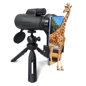 China High End 12X56 ED Glass Monocular Bird Watching Telescope For Hunting on sale