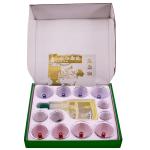 Double Transparent Plastic Vaccum Wholesale Cupping Cups Set Cupping Hijama Cups