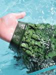 Antibacterial Letter Print Ice Silk Mens Boxer Shorts Xs Xxl Xl Antibacterial