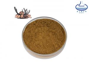 China Food Grade L Ergothioneine Powder , ISO9001/GMP Deer Antler Velvet Extract on sale