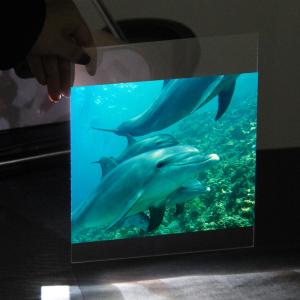 Wholesale Transparent 3D Holographic Projection Film Rear Window Hologram Projection Film from china suppliers