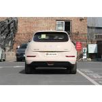 Energy Vehicles 2024 White Great Wall Ora Good Cat 400 Light Edition EV Car for