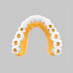 Adjustable Comfort Dental High Transparency Resin For Natural Aesthetics Bending