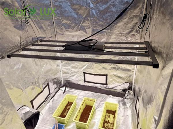 Spydr UL8800 Meanwell 330watt Horticultural LED Grow Lights 2.7umol/J Samsung