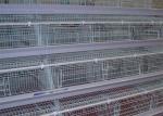 Hot Dipped Galvanized Steel Welded H Type Battery Cages For Broilers