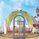 Custom Size Outdoor Tent PC Clear Bubble Dome Transparent Tent Dome Tent for
