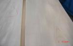 0.5 mm Crown Cut White Birch Veneer With Light Yellow Grain