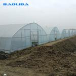 Tropical Agricultural Single Span Tunnel Plastic Film Polyethylene Film