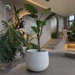 Wear Resistant Fiber Clay Planters For Living Room Office Space