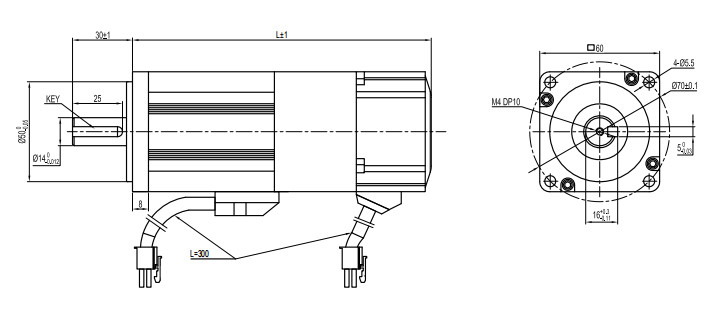 High Performance Low Voltage 24V 48V Dc Brushless Servo Motor 60mm