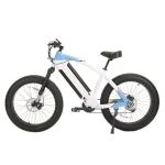 Solid Fork 26 Inch Adult Electric Bike with Middle Drive and Down Tube Lithium