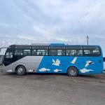 Deisel Fuel Luxury Used Coach Bus 47 Seater 52 Seater Yu Tong Coach Passenger