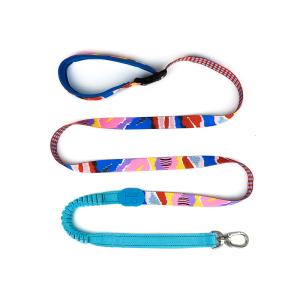 Wholesale Multifunctional Adjustable Polyester Dog Leash Handsfree Bungee Dog Leash from china suppliers