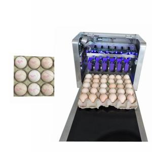 Wholesale High Performance Trademarks Edible Ink Printer For Whole Tray Filled Eggs from china suppliers