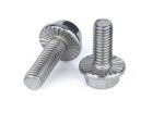 M6 M18 Stainless Steel Plain Metal Hexagon Flange Bolt SS304 SS316 A2 A4 DIN6921
